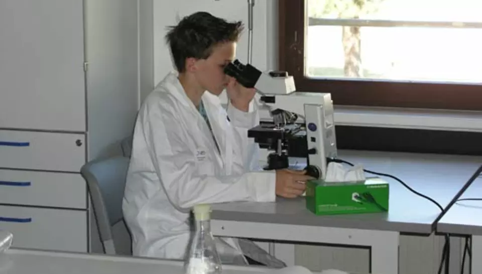 When scientists work with schoolchildren diaporama,9088-P6235014.jpeg