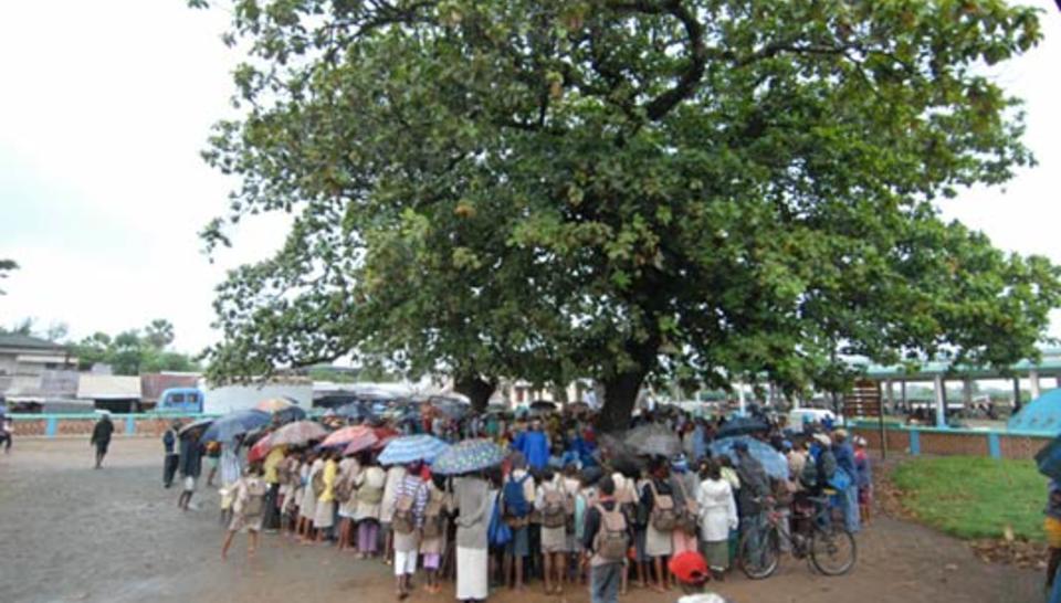 Des clowns pour accepter les jumeaux diaporama,4431-Mada2006-02.jpeg