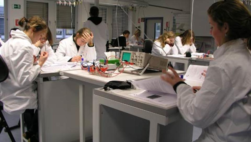 Quand les scientifiques se tournent vers les écoliers diaporama,4374-P1018093.jpeg