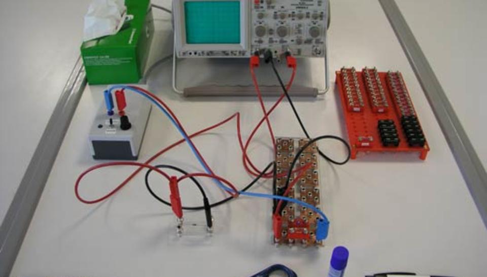 Quand les scientifiques se tournent vers les écoliers diaporama,4379-P1018110.jpeg