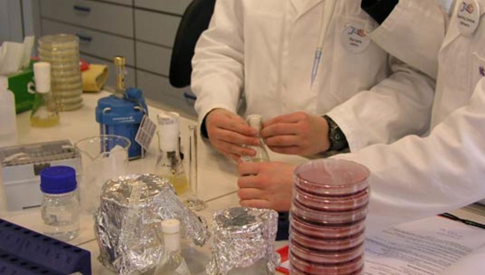 Quand les scientifiques se tournent vers les écoliers diaporama,4391-P4198366.jpeg
