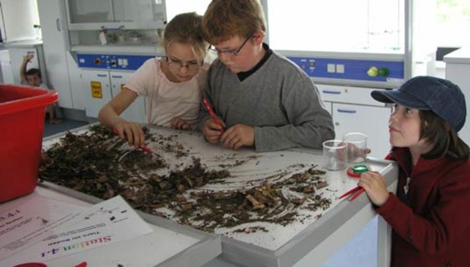 Quand les scientifiques se tournent vers les écoliers diaporama,4404-P7205124.jpeg