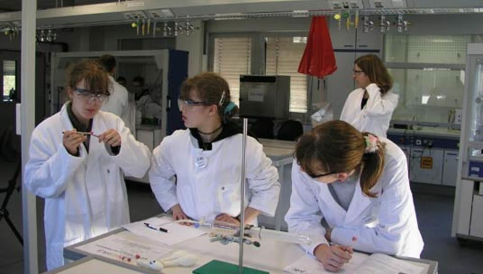 Quand les scientifiques se tournent vers les écoliers diaporama,4411-PB036240.jpeg