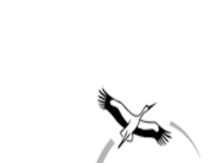 logo Naturschutzbund Deutschland Kreisverband Gifhorn e.V.