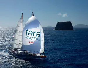 Tara Pacific, une expédition soutenue par la fondation Veolia