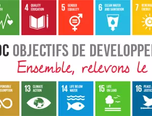 Relevons le défi des ODD ! - Mooc sur les ODD