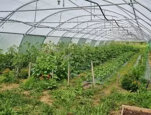La Ferme Deux Bouts en Gironde