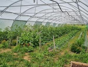 La Ferme Deux Bouts en Gironde