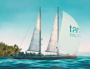 Visuel du film Tara Pacific, prélude à l'expédition Tara Coral
