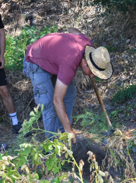 Un potager solidaire à bien des titres 10095,raw,12SE1673-L_Arbre-_3_.png