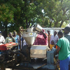 Les filières jatropha, puissant levier de développement local en Afrique de l'Ouest 9600,raw,12EB1652-GERES_Machine-a-tr.jpg