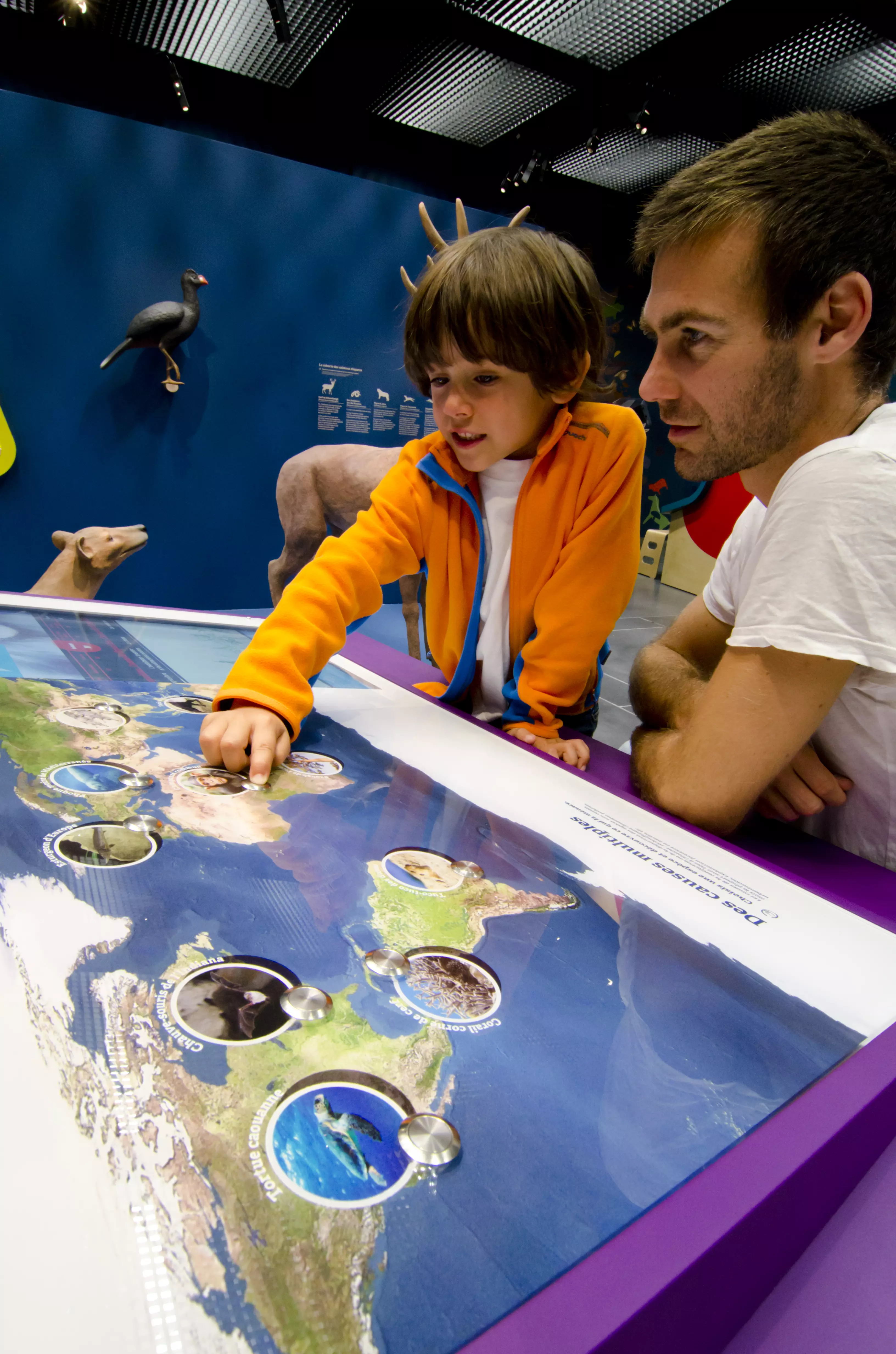 Tous vivants, tous différents ! 9916,raw,2012---12EB1656-_o-Espace-des-sciences.JPG