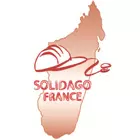 Solidago