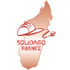 Solidago