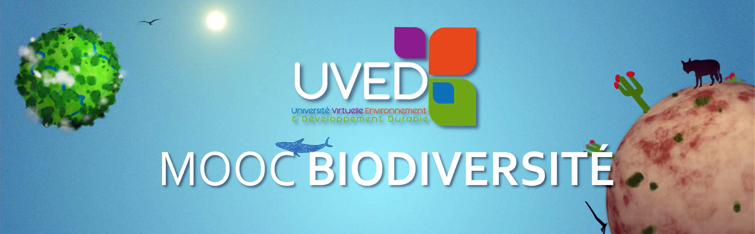 Succès du Mooc “Biodiversité” lancé par l’Uved avec le soutien de la Fondation
