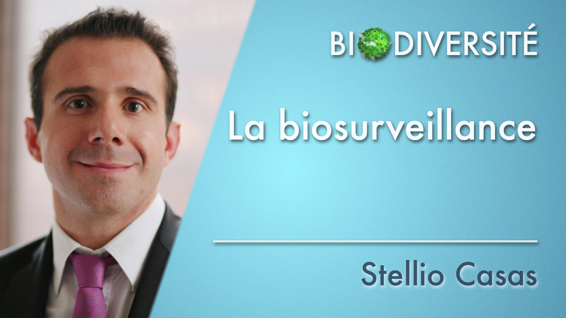 Stellio Casas