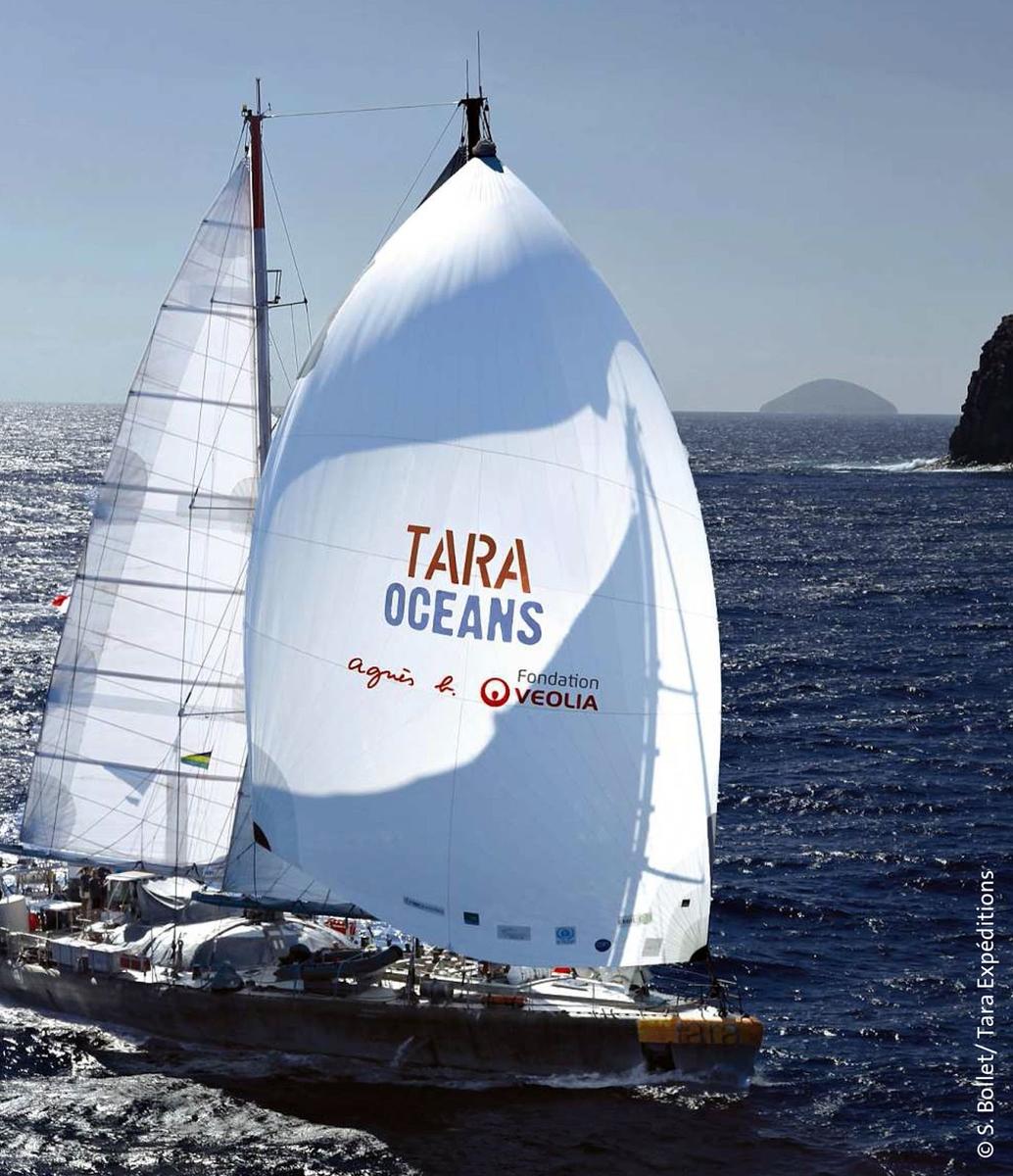 Tara rapport annuel 2014