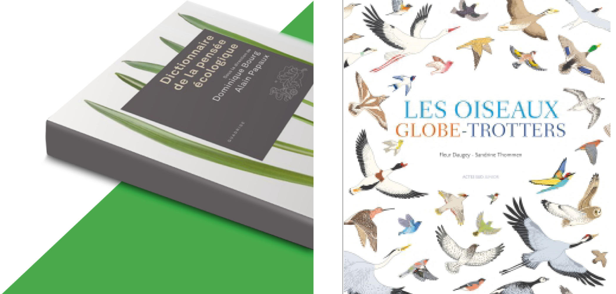 Prix du Livre Environnement 2015.jpg