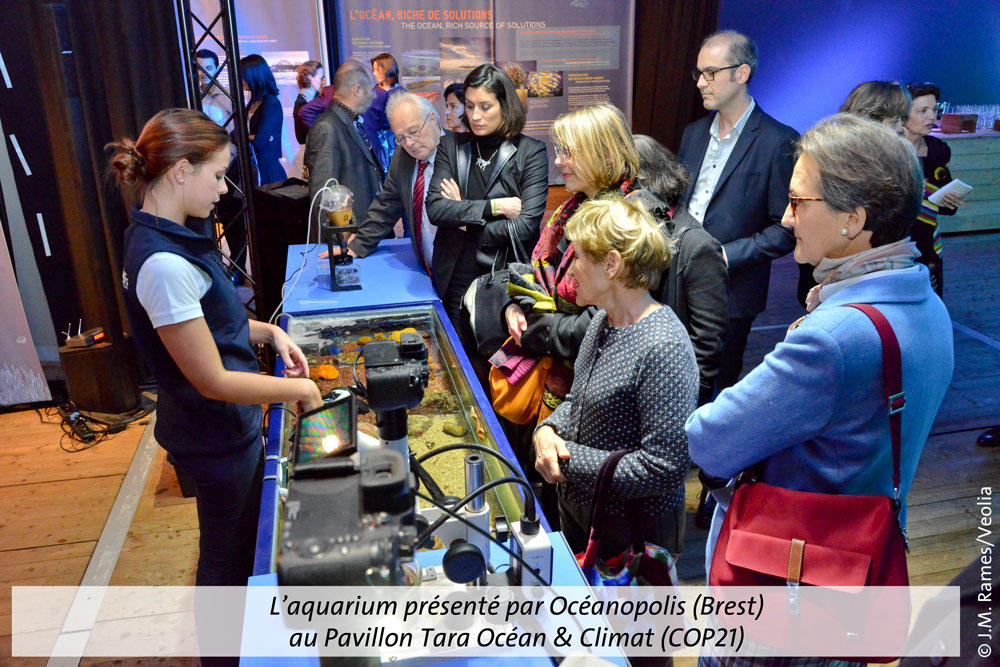 FV au pavillon Tara - CO21 3
