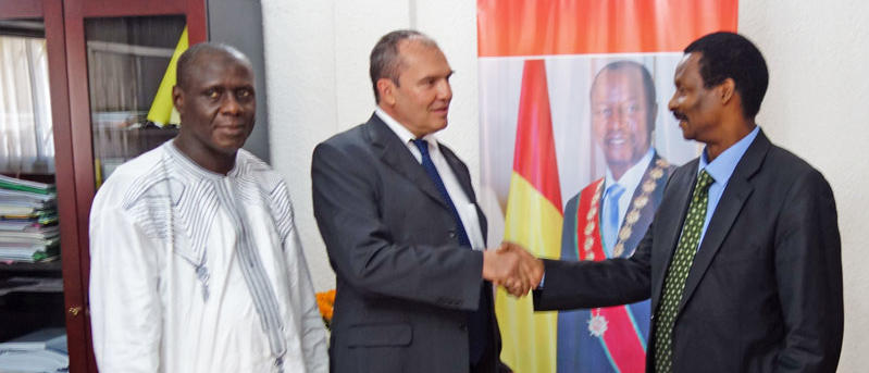 Satisfecit Guinée - TV