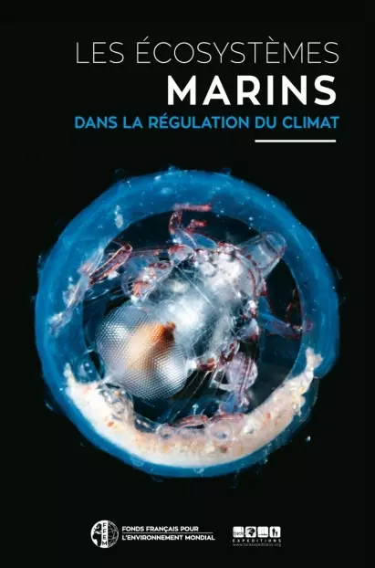 Les écosystèmes marins dans la régulation du climat (Prix du Livre Environnement 2016)