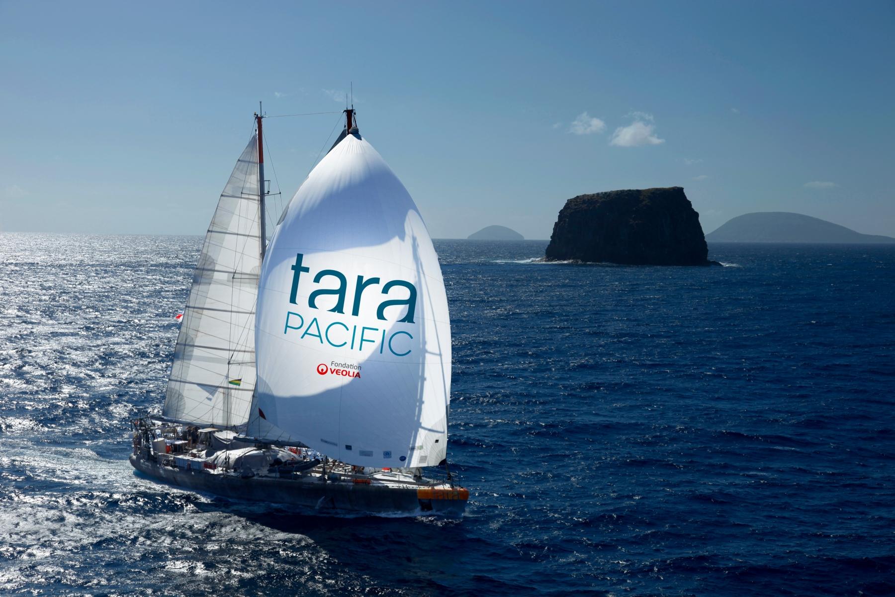 Tara Pacific, une expédition soutenue par la fondation Veolia