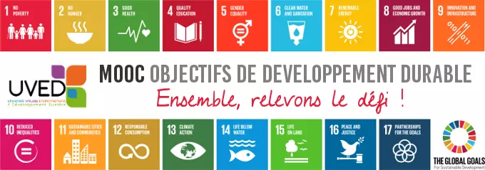 Relevons le défi des ODD ! - Mooc sur les ODD Relevons le défi des ODD ! - Mooc sur les ODD