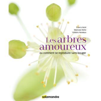 Les arbres amoureux Les arbres amoureux