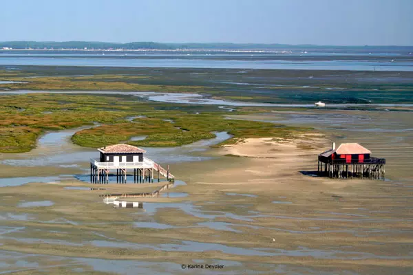 UICN-Arcachon