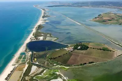 UICN-Maguelone