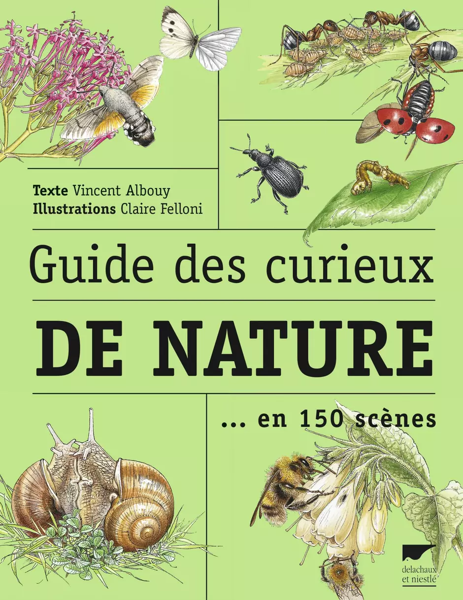 “Guide des curieux de nature en ville” de Vincent Albouy - Editions Delachaux et Niestlé, 2006 