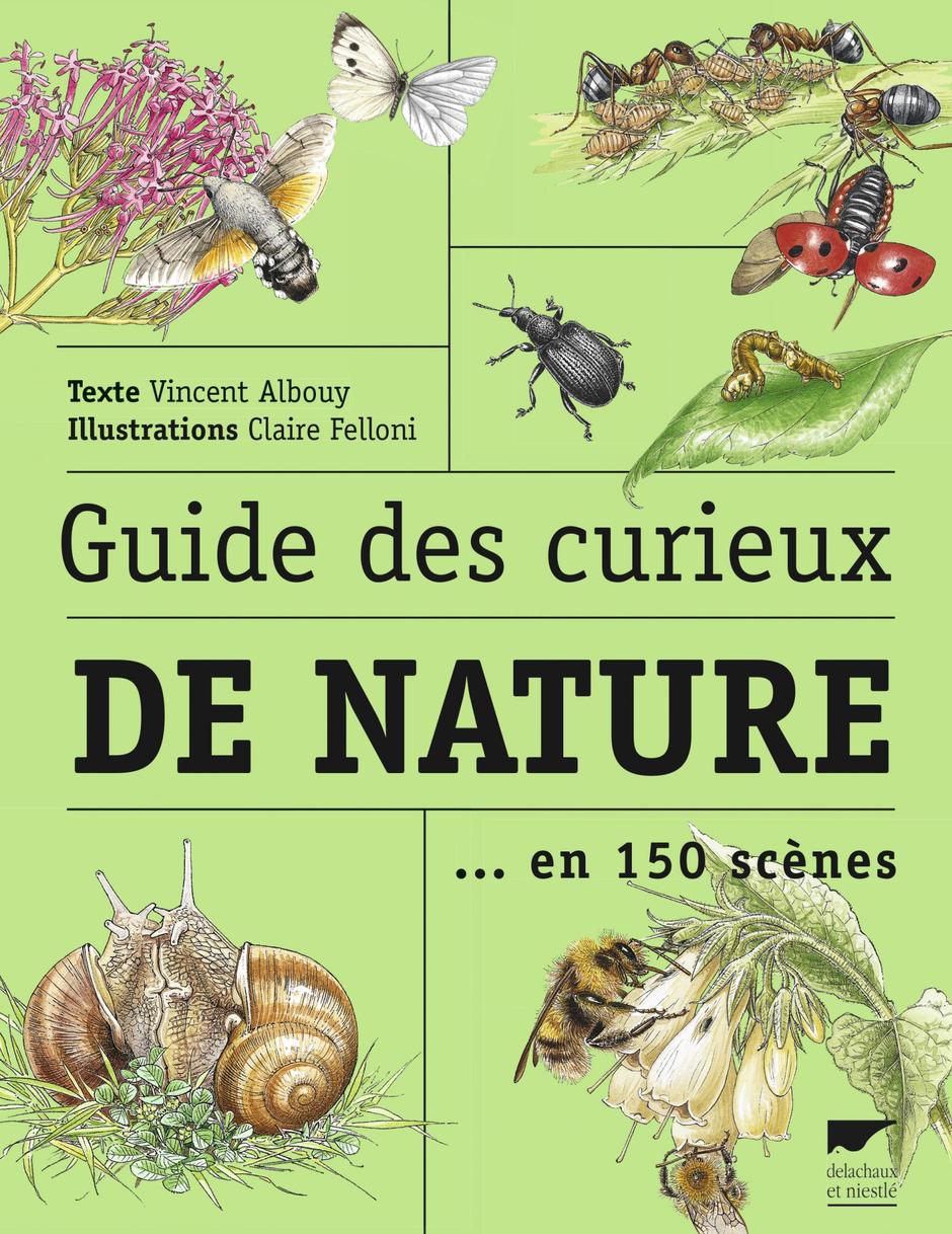 “Guide des curieux de nature en ville” de Vincent Albouy - Editions Delachaux et Niestlé, 2006 