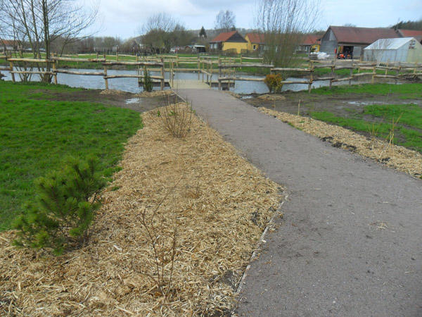Recyclage vert pour le parc Guy-Weber 10054,raw,2012---12EB1616-APEI-Diep2.jpg