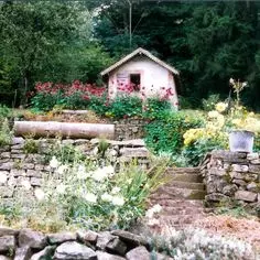 Les mains vertes du jardinier 6480,raw,4EM318-Les-jardins-en-terrase-1.jpg