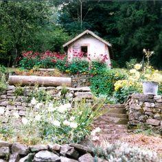 Les mains vertes du jardinier 6480,raw,4EM318-Les-jardins-en-terrase-1.jpg