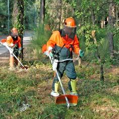 De la prison au monde extérieur en passant… par la forêt 6581,raw,308_france.jpg