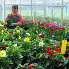 Développer le jardinage pour employer des personnes handicapées 6609,raw,284_allemagne.jpg