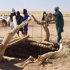 De l'eau assurée pour des milliers de nomades 6677,raw,330_inde.jpg