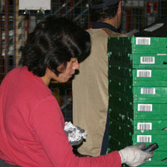 Une entreprise d'insertion pour les plus fragiles 6918,raw,7IP0933-Ares-Boissy-St-Lege.jpg