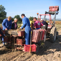 Rénovation en profondeur pour une exploitation agricole pas comme les autres<br /> 6945,raw,7IP0966.jpg