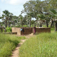 Un réseau d'adduction d'eau potable pour le village de Wolokonto 7182,raw,9SD1178-APEMC.jpg