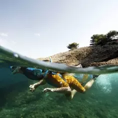 Un « Cahier ressources à l'école de la mer » pour le littoral méditerranéen 7213,raw,9EN1184-CPIE-Cote-Provencale-1.jpg