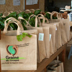 « Graine de Cocagne » : un jardin extraordinaire au cœur de l'économie sociale et du développement durable. 7227,raw,9IP1289-Parenthese.jpg