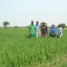 <strong>Aider les communes maliennes à gérer leur accès à l'eau potable</strong> 7256,raw,10SD1338-236x236.jpg