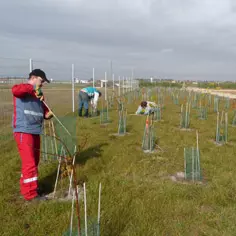 Un jardin maraicher en bordure d'autoroute pour faire reculer l'exclusion en zone rurale dans le Loiret. 7354,raw,11IP1475-Jardin-de-la-Voie-.jpg