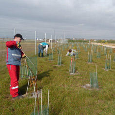 Un jardin maraicher en bordure d'autoroute pour faire reculer l'exclusion en zone rurale dans le Loiret. 7354,raw,11IP1475-Jardin-de-la-Voie-.jpg