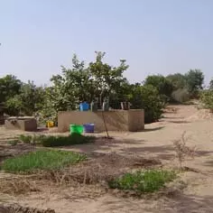 Improving living conditions in villages 7965,raw,226_senegal.jpg