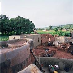 Developing a local healthcare system 8009,raw,225_burkina.jpg