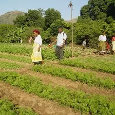 Helping poor farmers to become professionals 8220,raw,6SD828-Care-1.jpg