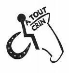 Accommodating Handicapped Horsemen 8355,raw,7SD0941-A-tout-crin.jpg